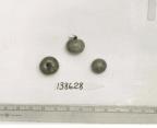 Click for 1 image(s) for this accession. FRUIT